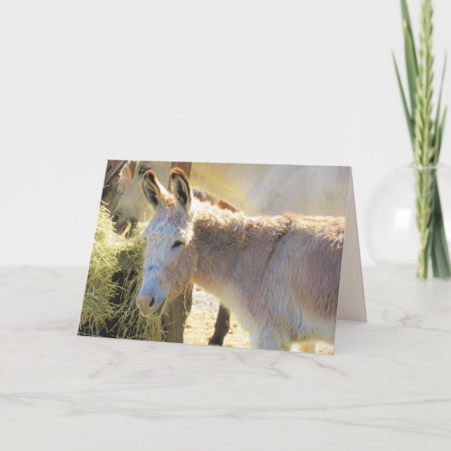 Delightful Donkey Greeting Card (Front)