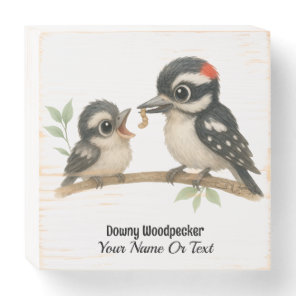 Delightful Downy Woodpecker Wooden Box Sign