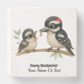 Delightful Downy Woodpecker Wooden Box Sign