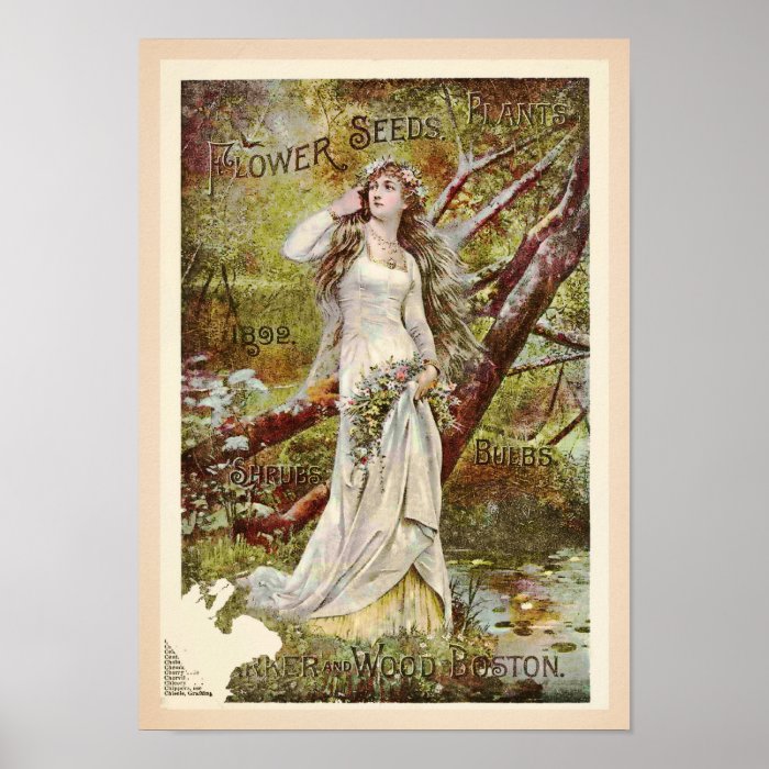 Delightful Flower Seed Vintage Catalog Cover Print