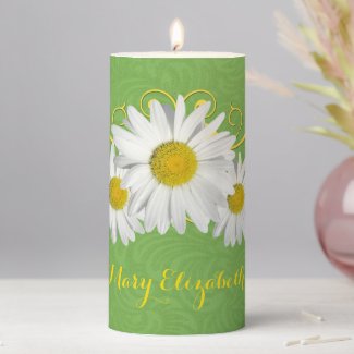 Delightful Fresh Shasta Daisies