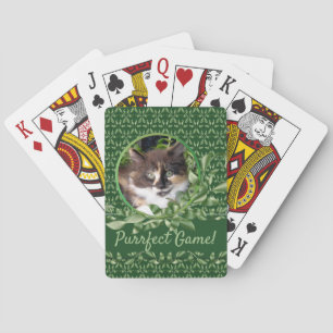 Delightful Green Eyed Calico Kitten Poker Cards