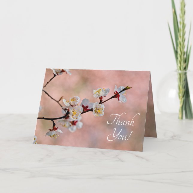Delightful Japanese Apricot Flowers Thank You Card (Front)