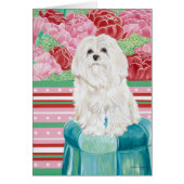 Della Rose Maltese (Front)