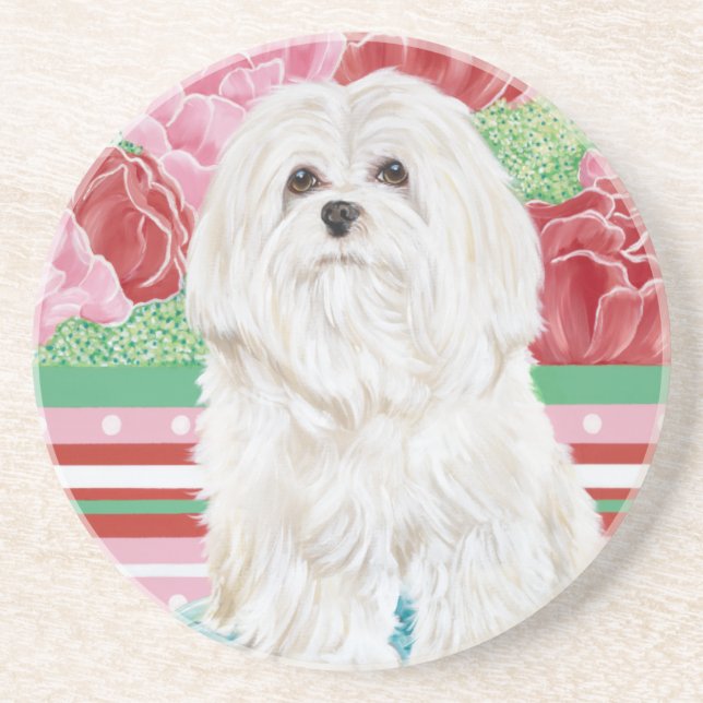 Della Rose Maltese Drink Coaster (Front)