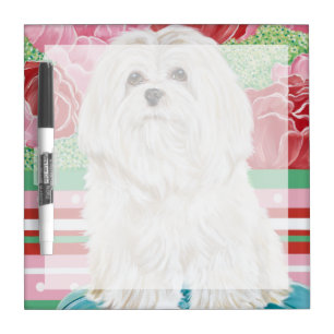 Della Rose Maltese Dry Erase Board