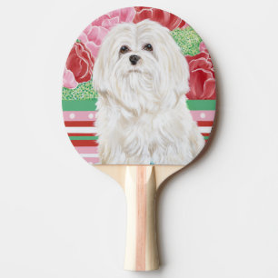 Della Rose Maltese Ping-Pong Paddle