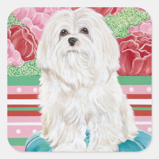 Della Rose Maltese Square Sticker (Front)