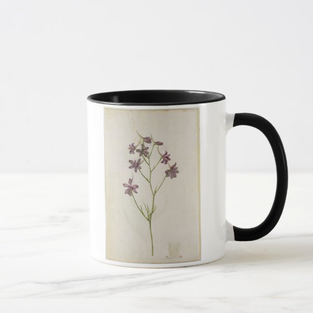 Delphinium ajacis, c.1568 mug (Right)
