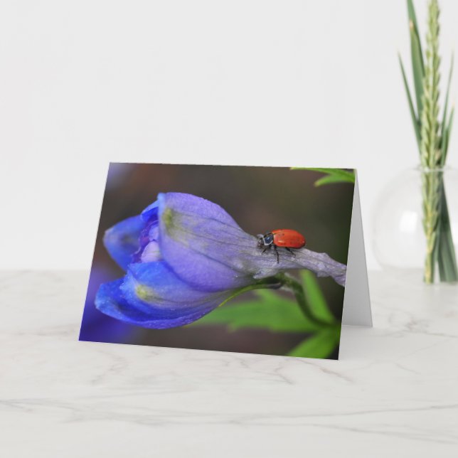 Delphinium Greeting Card (Front)