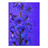 Delphinium photographic everyday card (Front)