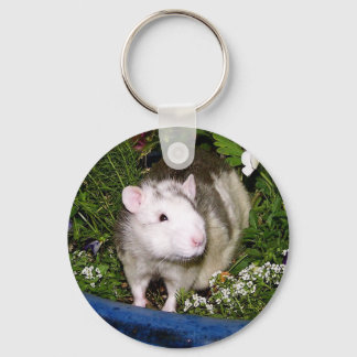 Delphiniums Key chain
