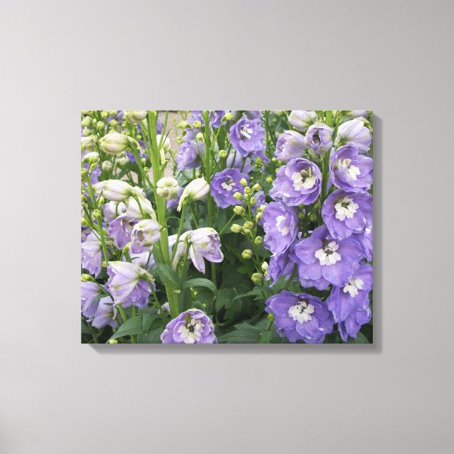 Delphinum Flowers Wrapped Canvas Print (Front)