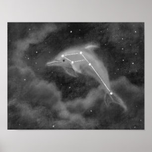 Delphinus Constellation Dolphin Poster