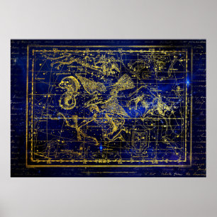 delphinus constellation poster