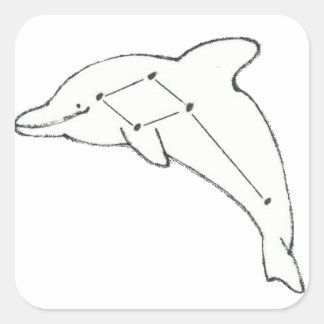 DelphinusAirways Sticker