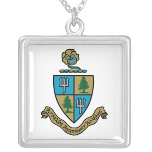 Delta Delta Delta Crest Color Silver Plated Necklace