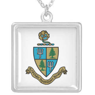 Delta Delta Delta Crest Color Silver Plated Necklace