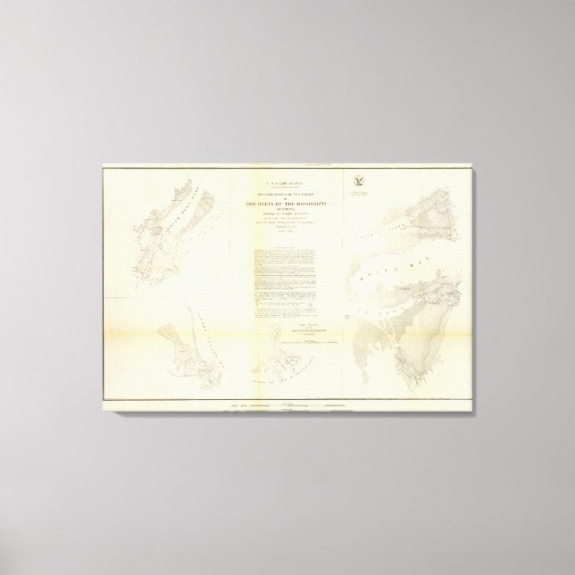 Delta of the Mississippi Canvas Print (Front)