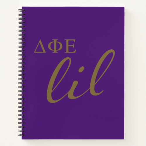 Delta Phi Epsilon Lil Script Notebook