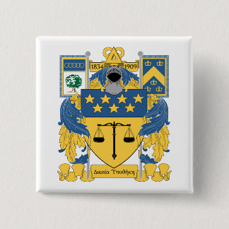 Delta Upsilon Fraternity Blue & Gold Coat of Arms Button