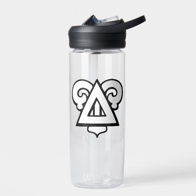 Delta Upsilon Fraternity Iconic Triangle Logo Water Bottle (Left)