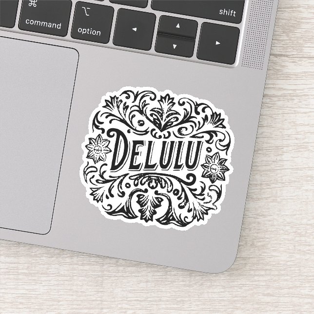 Delulu aesthetic sticker (Detail)