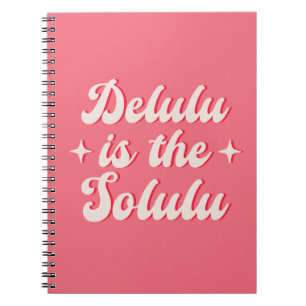 Delulu Is The Solulu Notebook