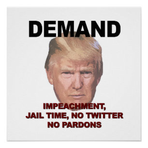 Demand Impeachment, Jail, No Twitter, No Pardons Poster