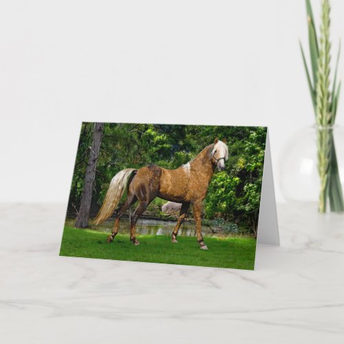 Demelza Greeting Card