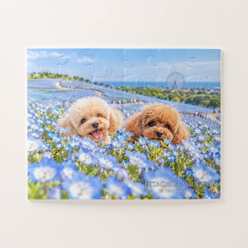 Dementia Puzzle, 30 Pieces, Toy Poodles  Jigsaw Puzzle