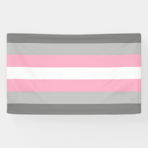 DemiGirl Flag Banner