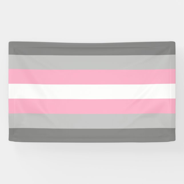 Demigirl Flag (Demi Girl Pride) (Gender Identity) Banner (Horizontal)