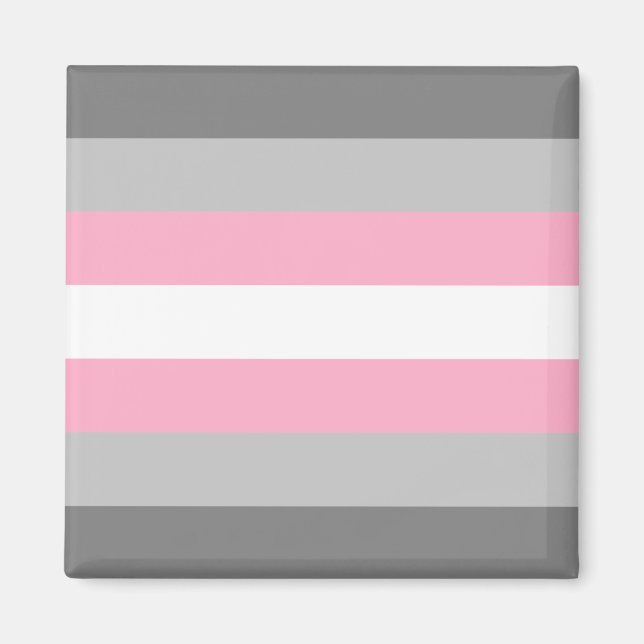 Demigirl Flag (Demi Girl Pride) (Gender Identity) Magnet (Front)