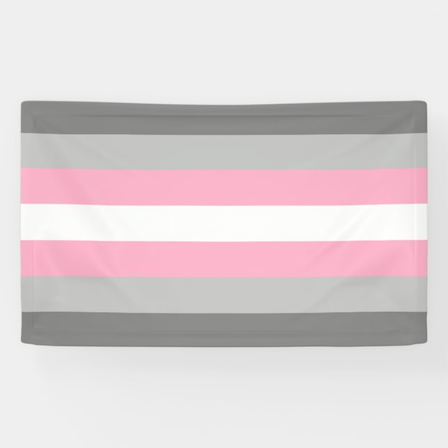 Demigirl Pride Banner (Horizontal)
