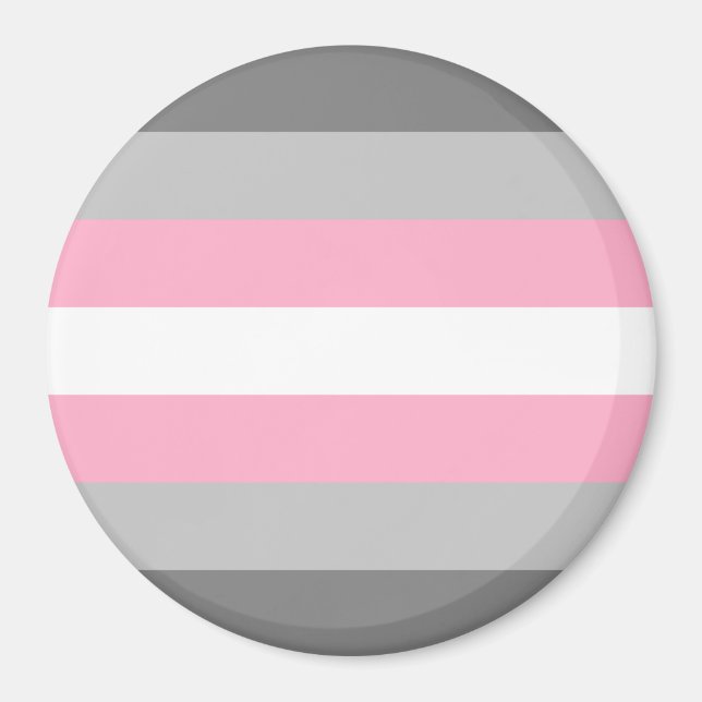 Demigirl Pride Flag Magnet (Front)