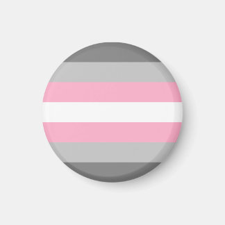 Demigirl Pride Flag Magnet