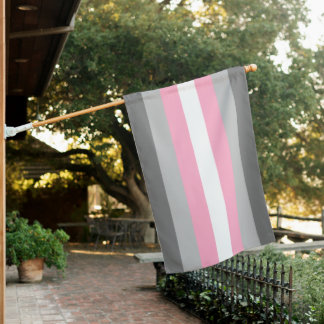 Demigirl Pride House Flag