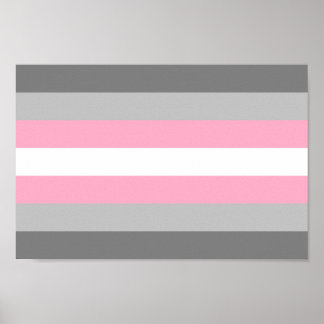 Demigirl Pride Poster