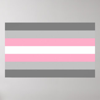 Demigirl Pride Poster