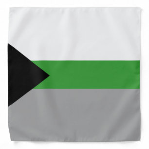 Demiromantic Pride Bandana