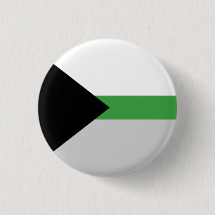 Demiromantic Pride Flag Badge Button