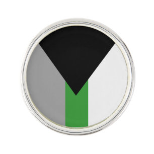 Demiromantic Pride Flag Lapel Pin