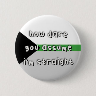 Demiromantic Pride - "How Dare You Assume" - LGBT Button