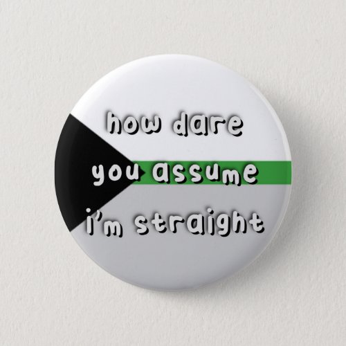 Demiromantic Pride _ How Dare You Assume _ LGBT Button