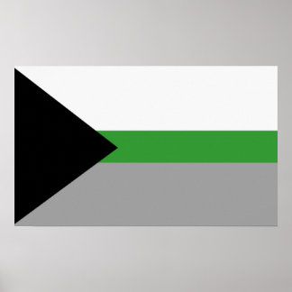Demiromantic Pride Poster