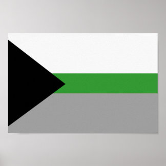 Demiromantic Pride Poster