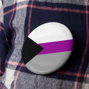 Demisexual Flag Rainbow Gender Diversity Pride Button