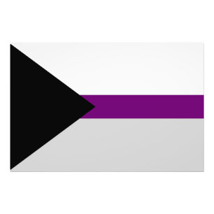 Demisexual Flag sexuality symbol gender identity Photo Print