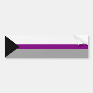 Demisexual Pride Bumper Sticker